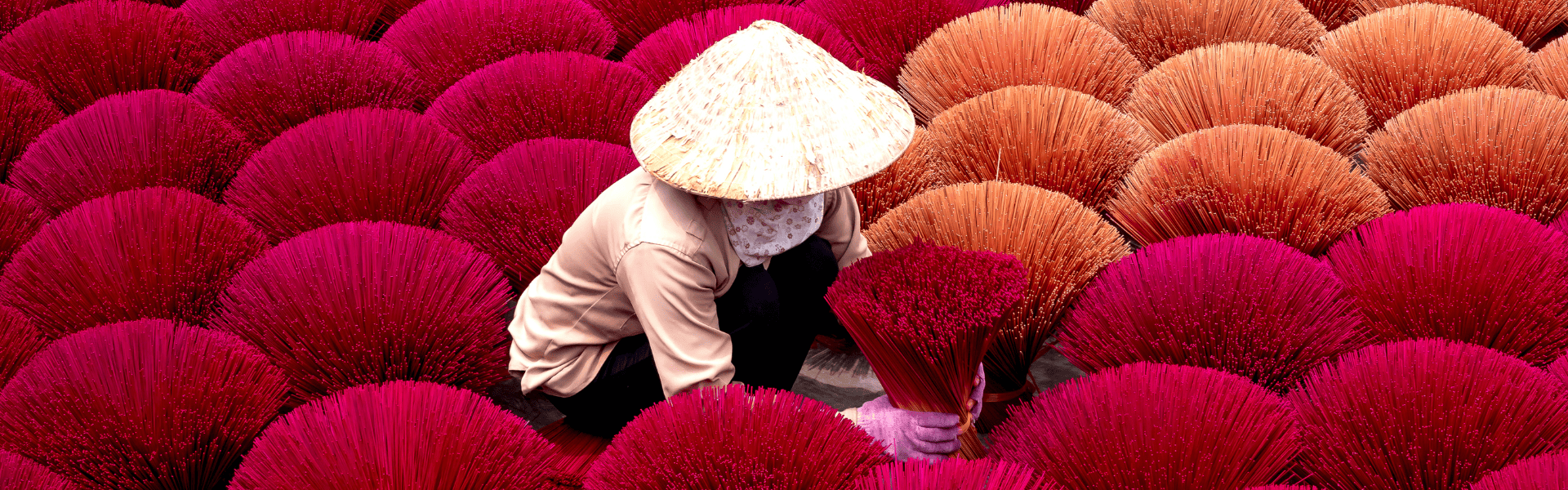 EXPLORE VIETNAM NORTH TO SOUTH