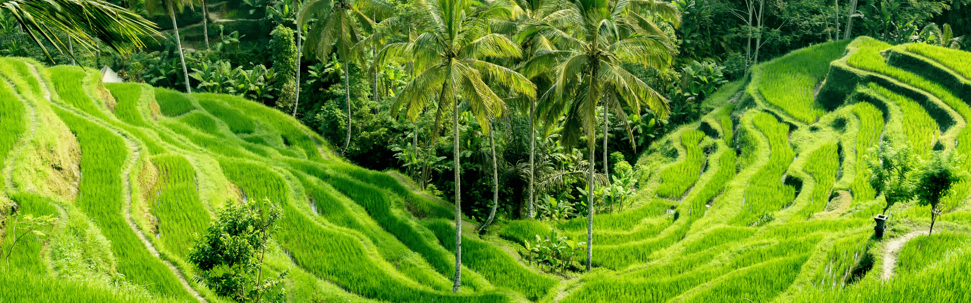 EXPLORE INDONESIA’S PICTURESQUE ISLAND