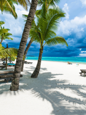 The Jewel of the Indian Ocean: Mauritius