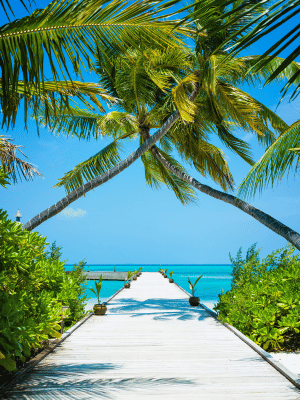 PERFORM SCUBA DIVING AT MALDIVES