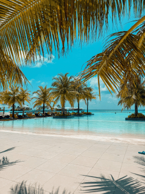 EXPLORE THE LAND OF CORALS: MALDIVES