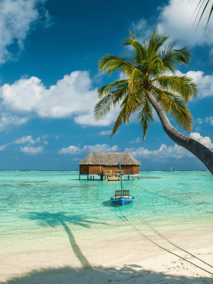 DISCOVER THE SPARKLING TURQUOISE LAGOON AT MALDIVES