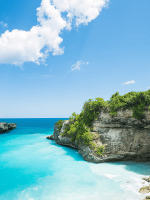 TOPICAL INDONESIAN PARADISE: BALI