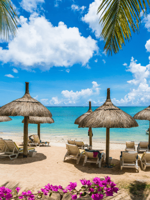 The Complete Mauritius Experience